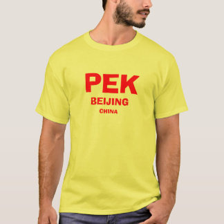 Camisa do aeroporto internacional de China - de