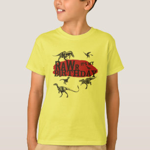Camisa do aniversário do dinossauro de Rawr