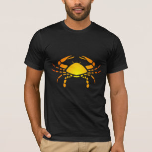 Camisa do cancer