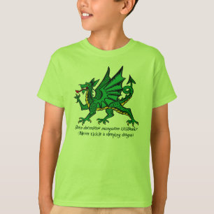 Camisa do dragão do sono