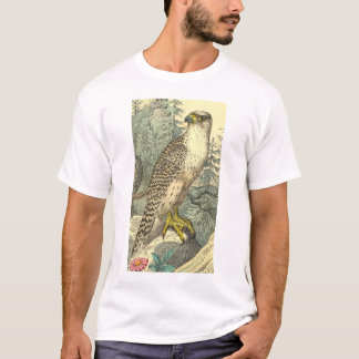 Camisa do falcão