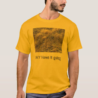 CAMISA DO FENO