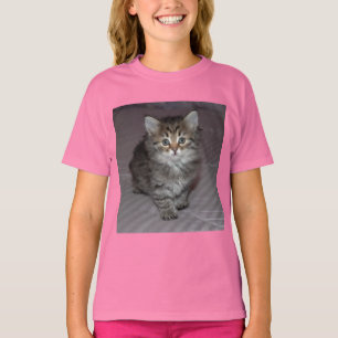 Camisa do gatinho do gato malhado