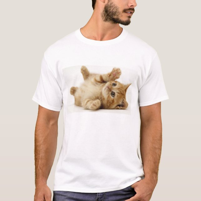 Camisa do gato (Frente)