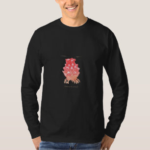 Camisa do Mar de Hoya