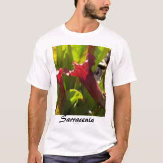 Camisa do Sarracenia