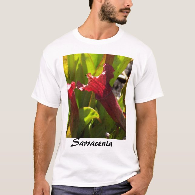 Camisa do Sarracenia (Frente)