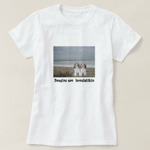Camisa dos amigos do lebreiro