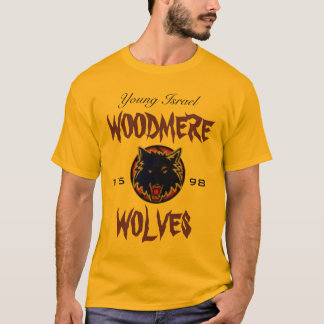 camisa dos dylans