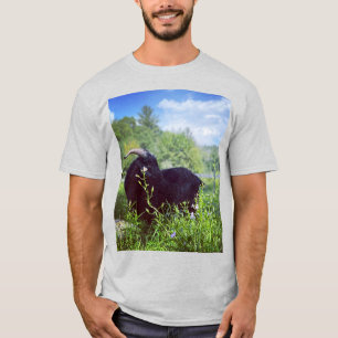 Camisa Estampada Beethoven