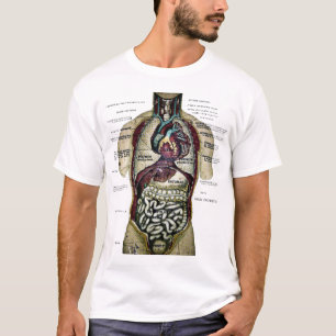 Camisa francesa da anatomia do vintage