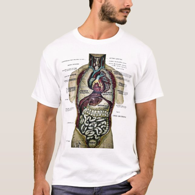 Camisa francesa da anatomia do vintage (Frente)