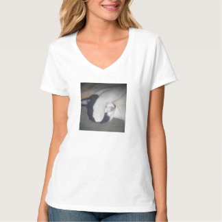 Camisa gato espiadinha pose adorável escondendo o