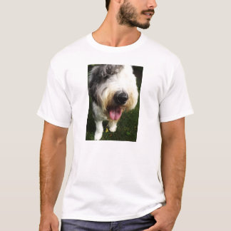 Camisa inglesa velha do Sheepdog - nariz grande