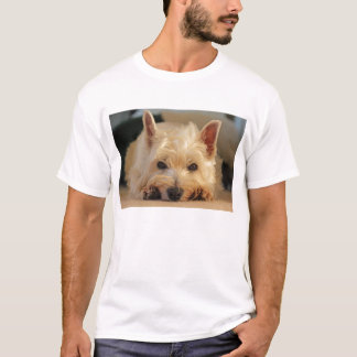 Camisa ocidental bonito do cão T de Terrier das