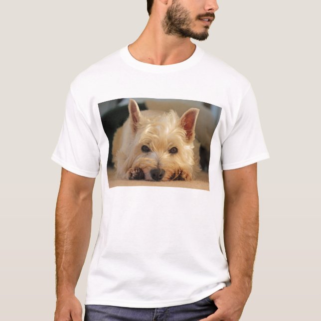 Camisa ocidental bonito do cão T de Terrier das (Frente)