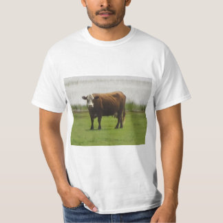 Camisa Pasture Mood - t-shirt