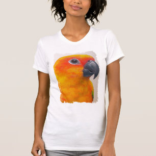 Camisa - Sun Conure