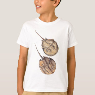 Camisa T