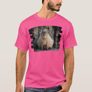 Camisa T
