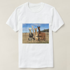 Camisa T - Alpacas Phaethon, Cevada e Marvin