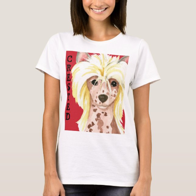 Camisa T do Bloco de Cores Chinês Detido (Frente)