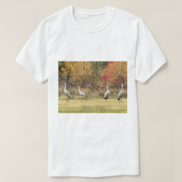 Camisa T - Gruas Sandhill