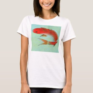 Camisa T PEIXE JAPONESA MAIS VISTO YOGA TAMANHO