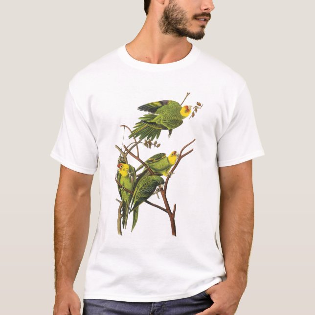 Camisa T: periquitos - de John Audubon (Frente)