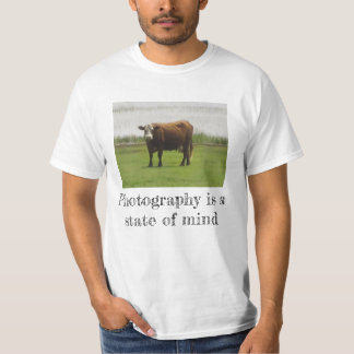 Camisa T-Shirt com Foto de Vaca - Humor Pastoral