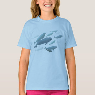 Camisas da beluga do bebê da camisola da baleia d