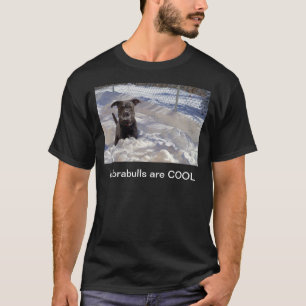 Camisas de Labrabulls são LEGAIS