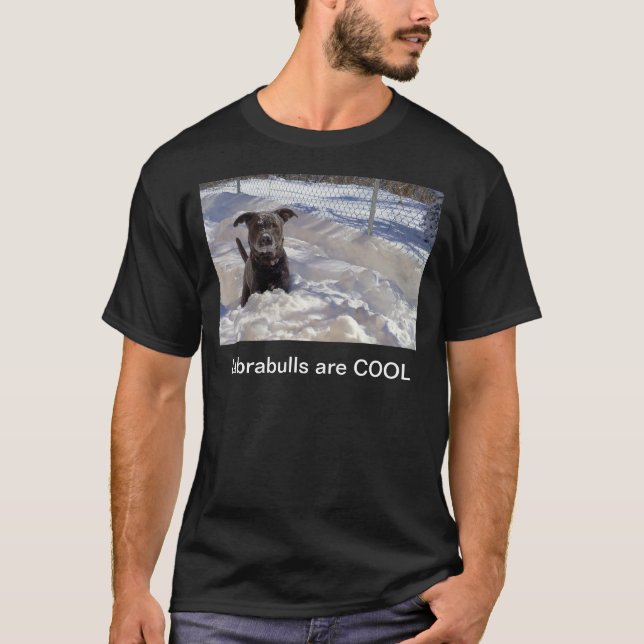 Camisas de Labrabulls são LEGAIS (Frente)