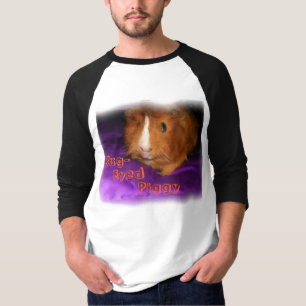 Camisas De Porco-inseto