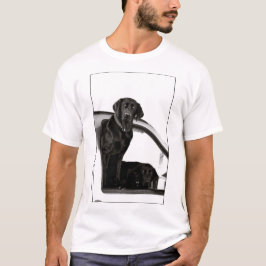 Camisas de T-Shirts dos Black Labs