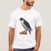Camisas masculinas de falcão-peregrino