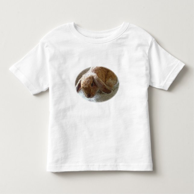 Camisas orelhudas do coelho de Holland Lop (Frente)