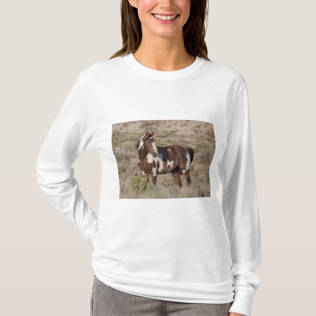 CAMISETA  (Frente)