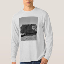 宮崎・青島より。 Tシャツ