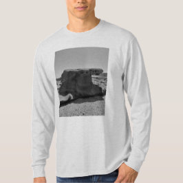 CAMISETA 宮崎・青島より。 Tシャツ