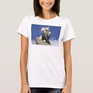 CAMISETA 野良猫ニャン吉【青空眩しいぜ!】