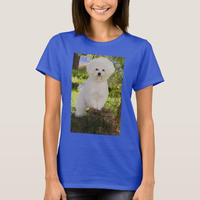 CAMISETA 09, DE ISHBILIA BICHON FRISE (Frente)