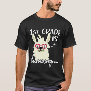 Camiseta 1ª série é professor llamazing Llama estudante de