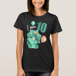 Camiseta 10 Anos Menina Dino Dino Dino, Criança De Poços De