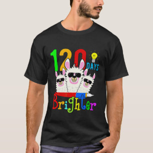 Camiseta 120 Dias Mais Brilhante Professor Lhama Feliz 120º