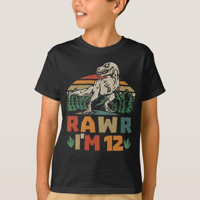 Camiseta 12 Birthday Dinossaur T Rex Rawr Eu tenho 12 anos  (Frente)