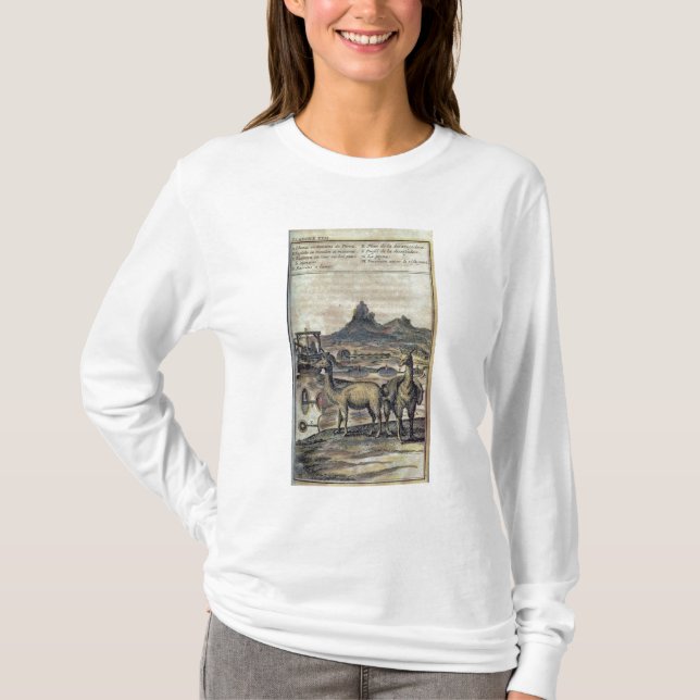 Camiseta 137-0627924 ilustração de uma história de Peru sh (Frente)