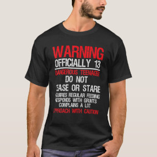 Camiseta 13 anos avisando o nascimento perigoso do adolesce