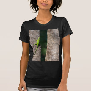 Camiseta 15 Minutes.JPG