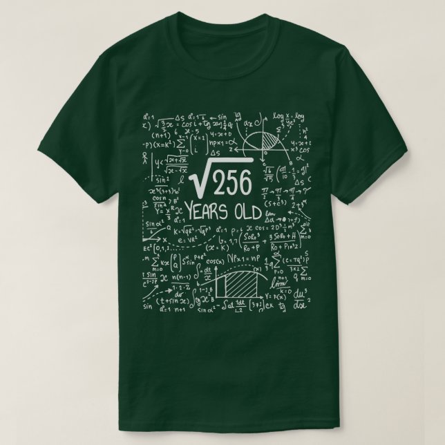 Camiseta 16th Birthday Square Root of 256 16 Years Old  (Frente do Design)